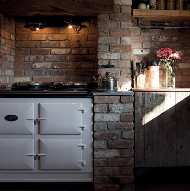 AGA Dual Control in Pearl Ashes