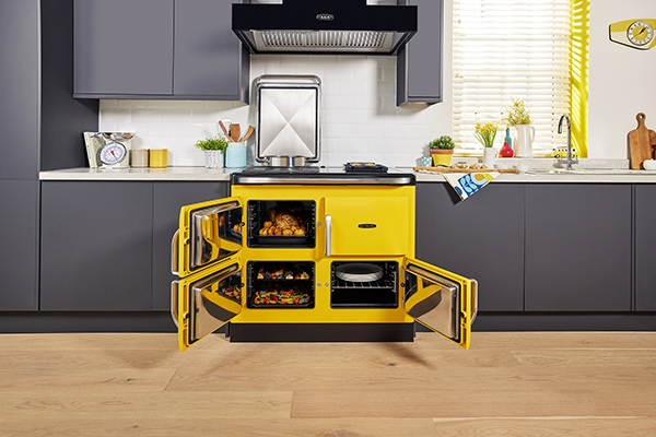 Rayburn Ranger in Sunshine