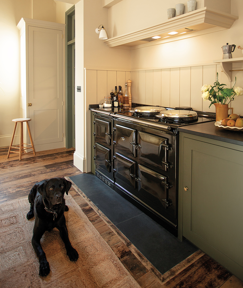 AGA eR7 150 and Buster the black labrador
