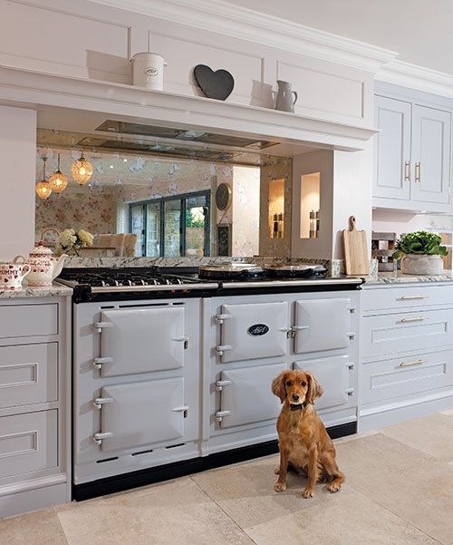 Dog by the AGA