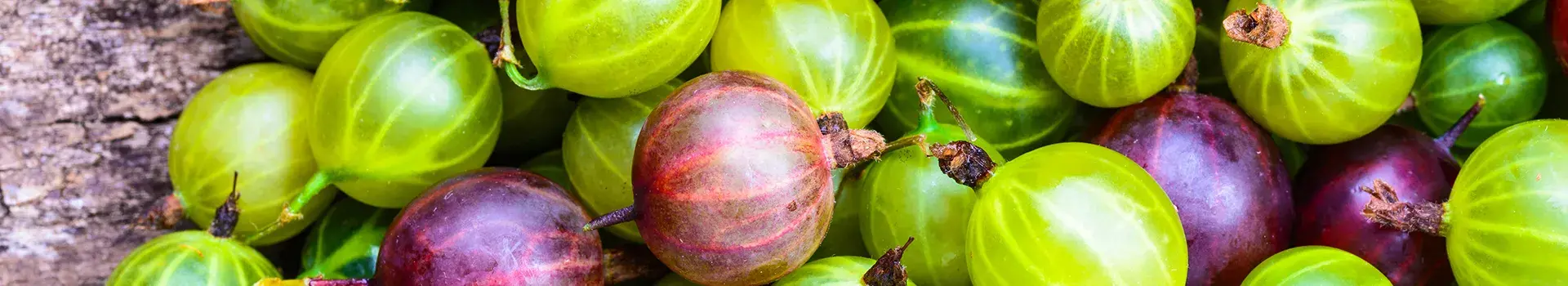 Gooseberry Jam