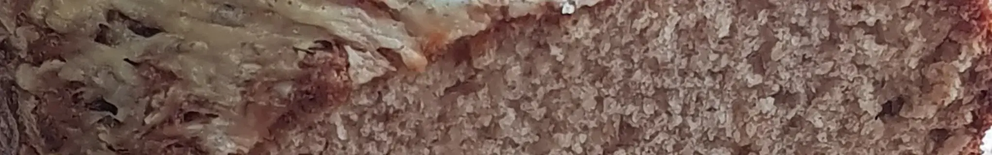 Beer Bread