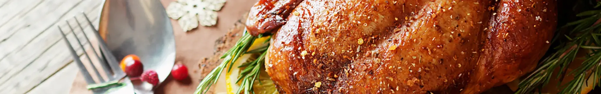 Christmas turkey 