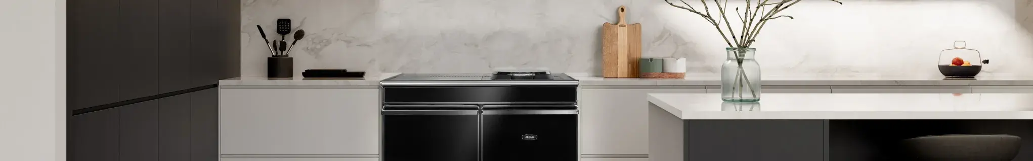 AGA ERA Banner Image