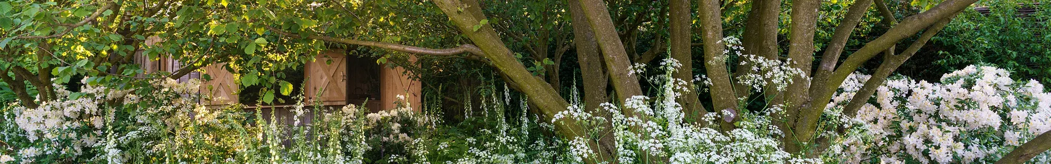 Tom Stuart Smith's Garden at the Chelsea Flower Show 2024