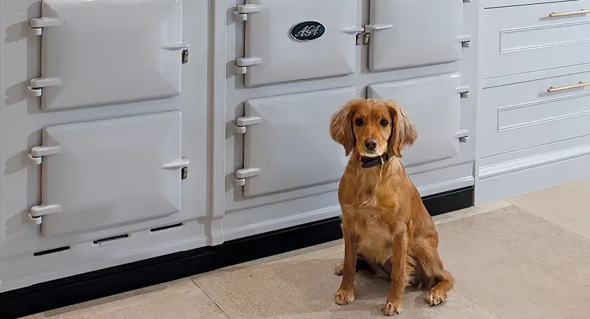 Dog sat next to an AGA Dual Control in Pearl Ashes