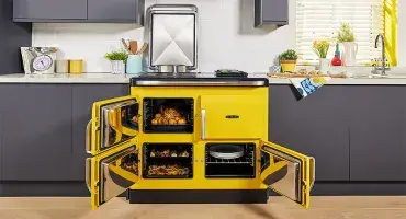 Rayburn Ranger in Sunshine