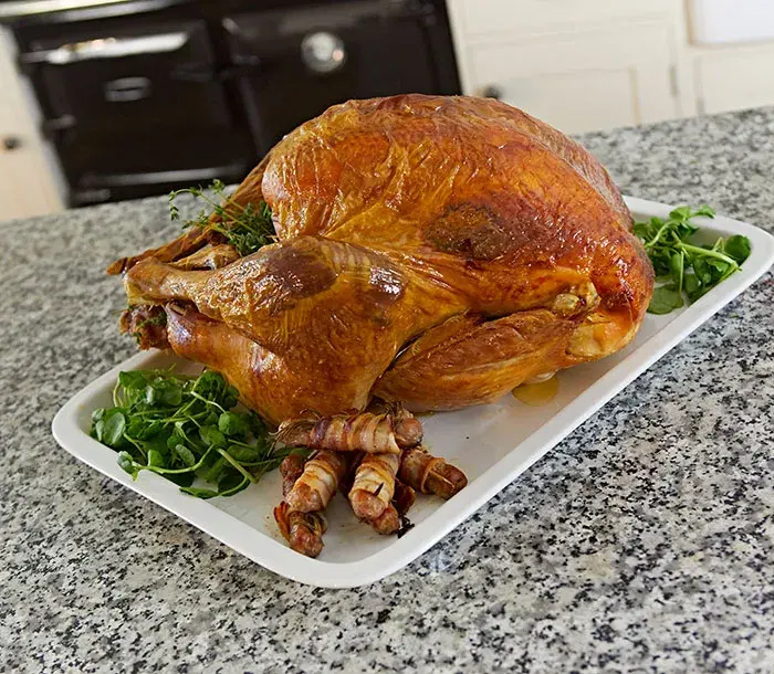 turkey sat in front of the Rayburn