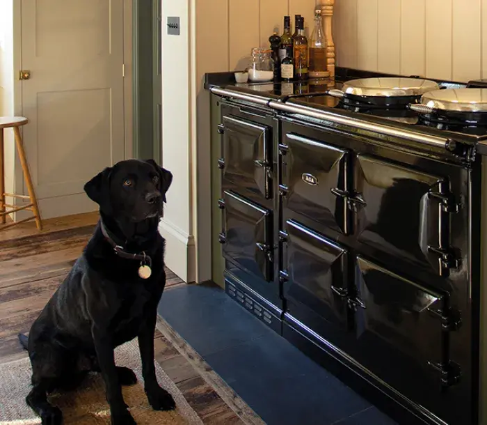Dog sat beside AGA 7 Series 150 in Black 